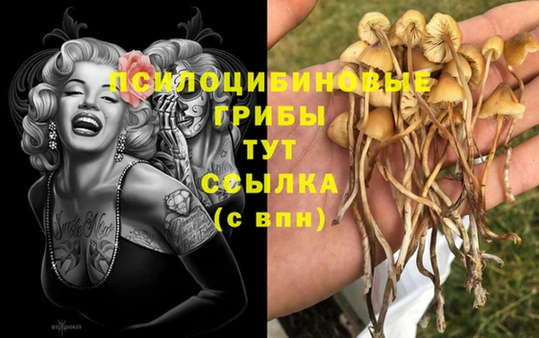 марки lsd Верхний Тагил