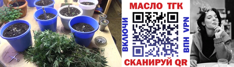 мориарти телеграм  Звенигово  ТГК гашишное масло 