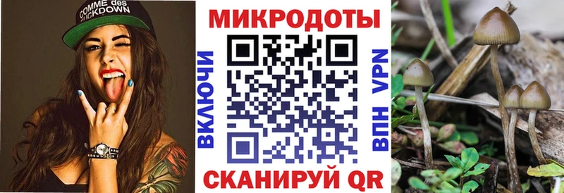 ссылка на мегу маркетплейс  Звенигово  Галлюциногенные грибы мухоморы 